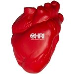 Anatomic Heart Stress Reliever - Medical Grade