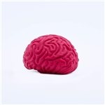 Pencil Top Stock Eraser- Brain