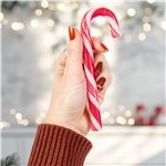 Large Candy Cane w/Clear Label - 5.75 Inch