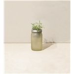 Rosemary