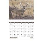Wildlife Portraits - Spiral - UV Coated & Gloss