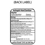 SABPALl L 2.0 oz Hand Sanitizer Antibacterial Gel in Flip Top Squeeze Bottle