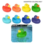 Assorted Only - May Vary