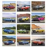 Muscle Thunder