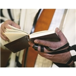 Jewish Life