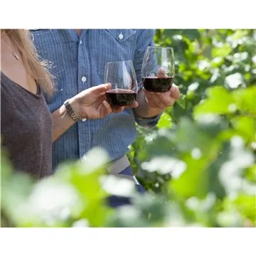 Image of 75 Custom govino 16 oz Wine Glass Handwash - Shatterproof & USA ...