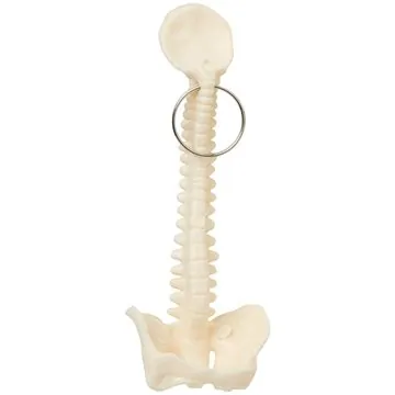 Image of 150 Promotional Spine and Pelvis Bone Keyring - Medical