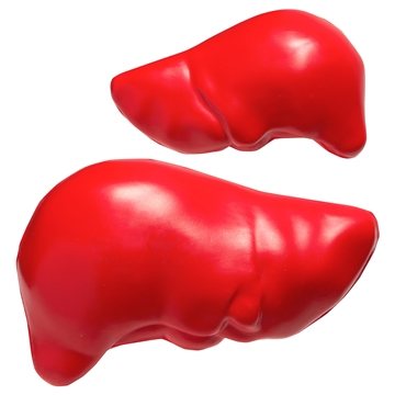 Image of 150 Customized Liver - Stress Reliever - Polyurethane