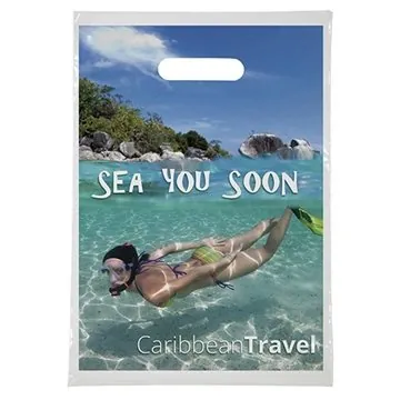 Image of 250 Custom 9x13 Digital Full Color Die Cut - Double Sided