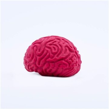 Pencil Top Stock Eraser- Brain
