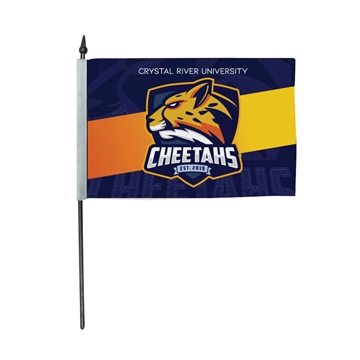 DisplaySplash 9 x 6 Hand Flag - 100D Polyester