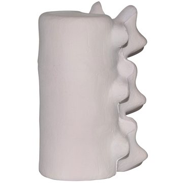 Image of 150 Customized Spine Stress Reliever - Medical