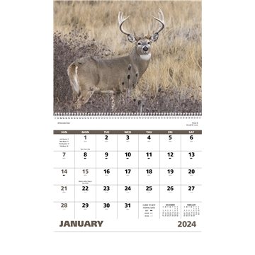 Wildlife Portraits - Spiral - UV Coated & Gloss