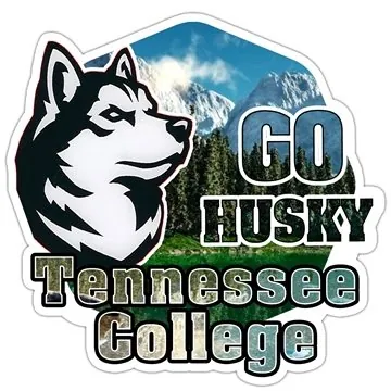 Image of 250 Customized "CUSTOMCUT" 9.1 sq inch to 16 sq. inch Full Color ...