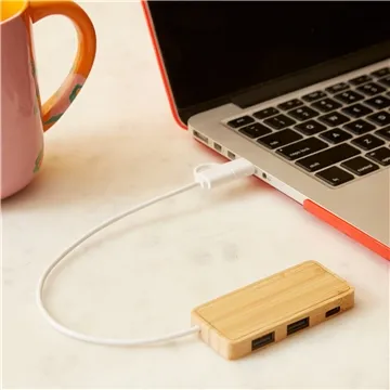 50 Promotional Douglas Bamboo Dual USB Hub - 3-Port & Data ...