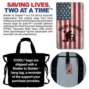 Image of 5 Custom iCOOL Lake Havasu Rolling Cooler Bag - 30-Can & ...