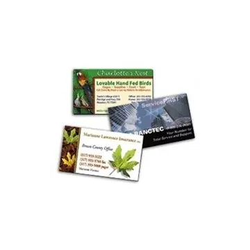 Image of 250 Promotional Business Card Magnets - Full Color