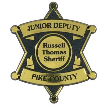 Image of 250 Customized 6 Point Star Badge - Gold & Clip Back