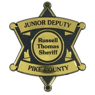 6 Point Star Badge - Gold & Clip Back