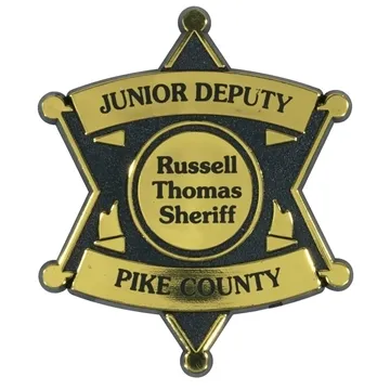 6 Point Star Badge - Gold & Clip Back