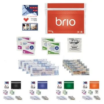 Image of 250 Promotional Personal First Aid Safety and Wellness Kit - ...