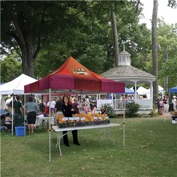 Image of 1 Promotional 10' Premium Tent Kit - Weather Resistant & Aluminum ...