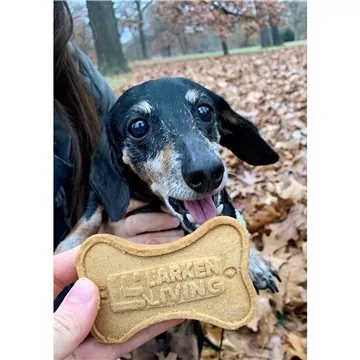 Image of 50 Promotional Logo Dog Cookie - All Natural & USA Made