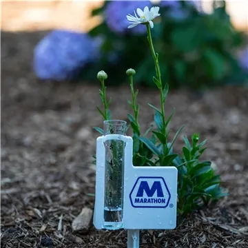 Image of 100 Customized Classic Jumbo Rain Gauge - 6 Inch Capacity