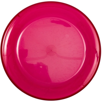 Image of 250 Promotional 9" Flyer Disc with our RealColor360 Imprint - USA ...