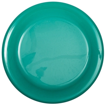 9 Flyer Disc with our RealColor360 Imprint - USA Made & FDA Approved