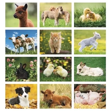 Good Value™ Baby Farm Animals - Spiral Calendar - Spiral - 13 Month & UV Coated