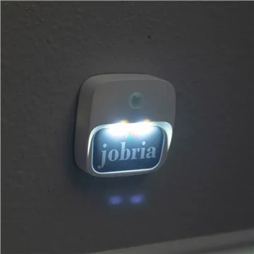 Image of 75 Custom Night Owl Motion Light - Battery Operated & Motion ...