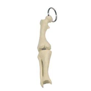 Image of 150 Promotional Knee Joint Bone Keyring - Movable Joint