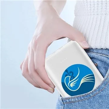 Image of 25 Customized Tarzana 10,000mAh Power Bank - Dual Charging & Quick ...