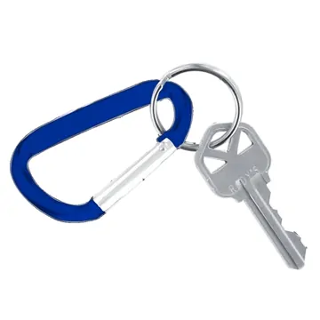 Image of 100 Customized Carabiner Keychain