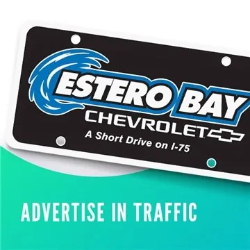Image of 250 Promotional License Plate Insert - Styrene