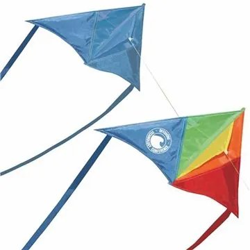 Image of 100 Custom Delta Dancer Kite - Easy Flyer & Wind Stable