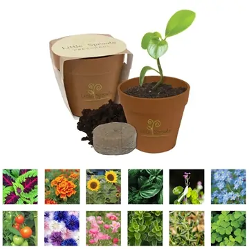 Image of 100 Custom Mini Bamboo Blossom Kit - Biodegradable & Eco-friendly