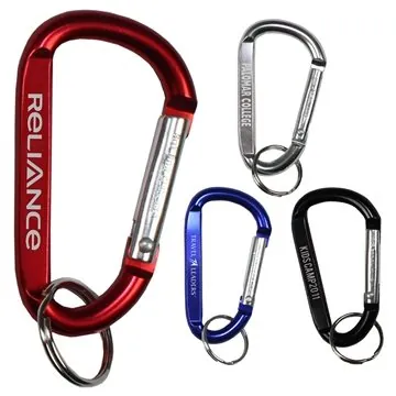 Image of 350 Promotional "CARA M" Medium Size Carabiner Keyholder - Split ...
