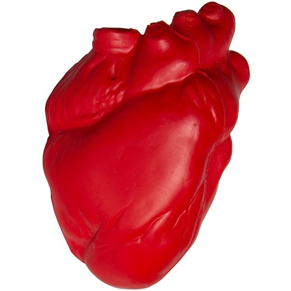 Anatomic Heart Stress Reliever - Medical Grade