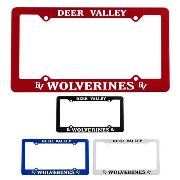 Economy License Frame