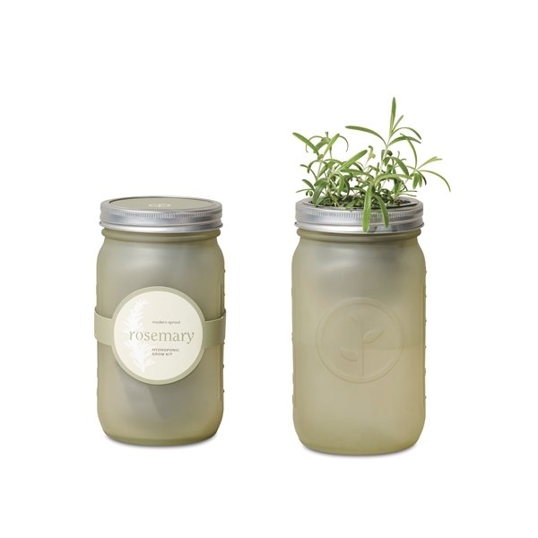 Modern Sprout® Indoor Herb Garden Kit - Self-Watering &amp; Hydroponic