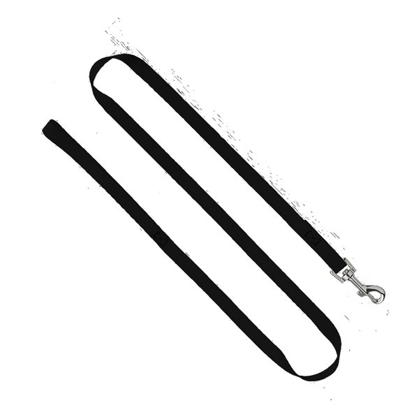 3/4" Smooth Nylon Pet Leash with Bright Metal Snap Hook