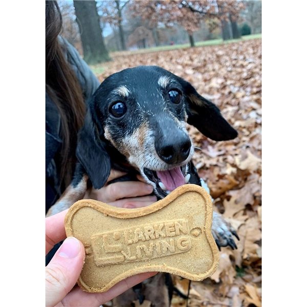 Logo Dog Cookie