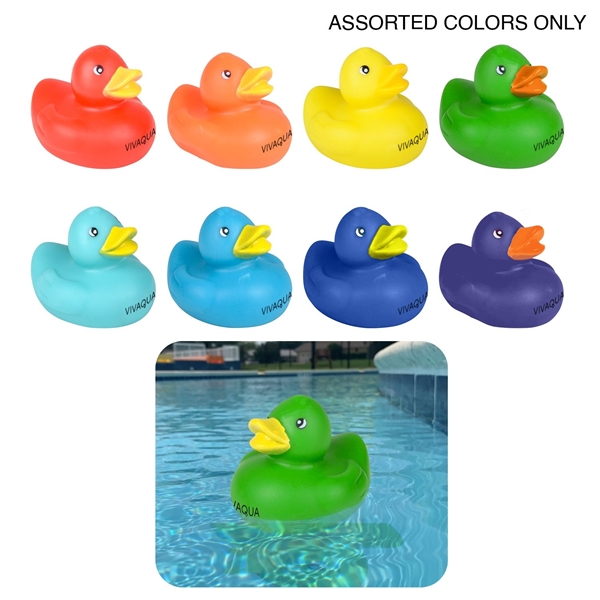 Colorful Duck - Floating